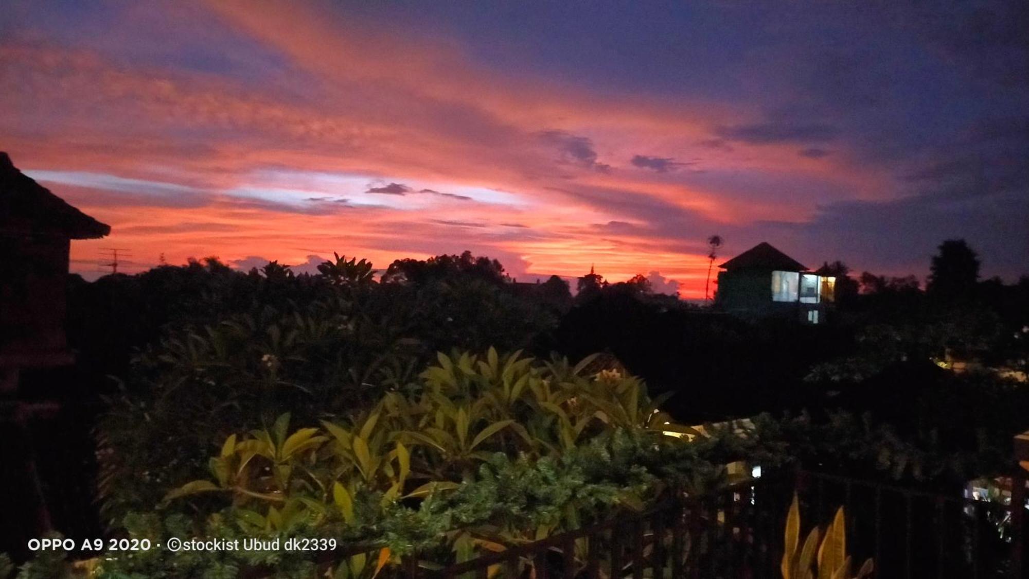 Danu House Ubud ภายนอก รูปภาพ