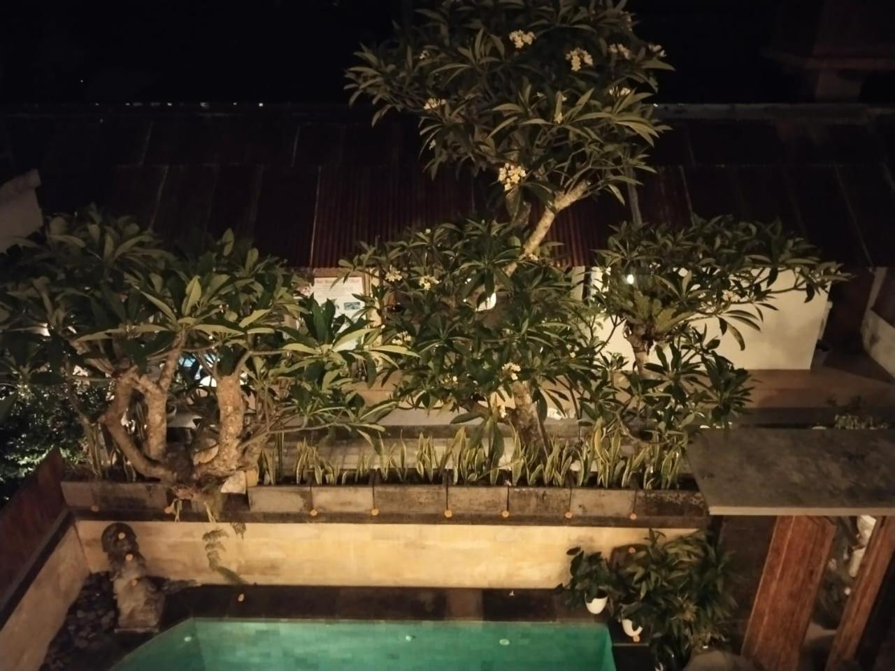 Danu House Ubud ห้อง รูปภาพ
